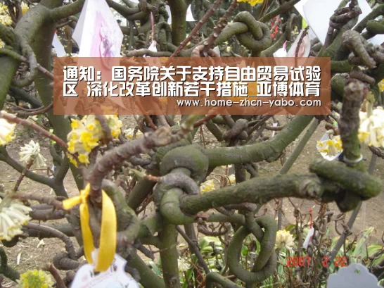 亚博官方