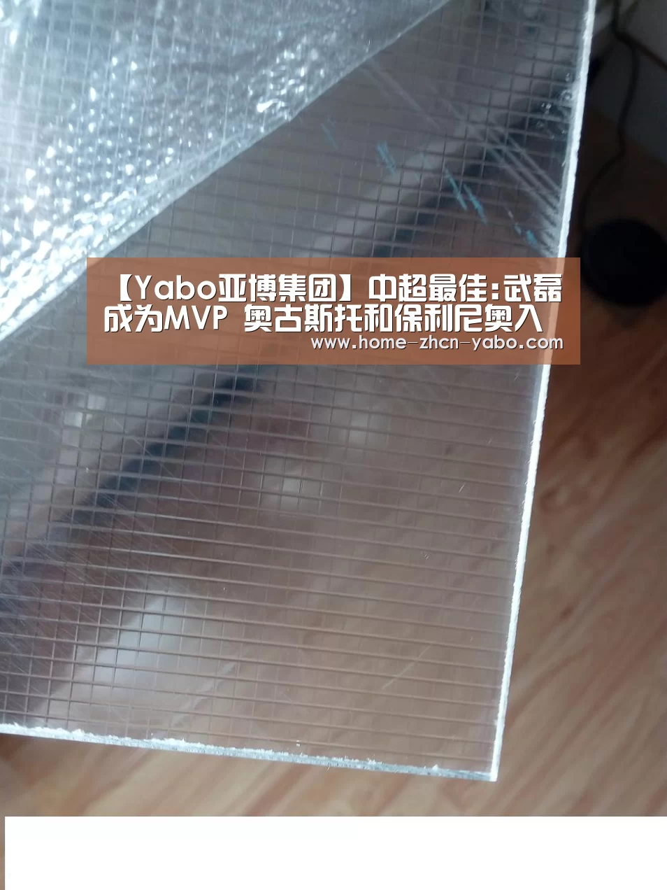 【Yabo亚博集团】中超最佳:武磊成为MVP 奥古斯托和保利尼奥入最佳阵(图1) 亚博体育APP下载