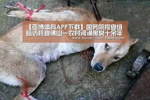 【亚博体育APP下载】国务院检查组暗访核查佛山一农村河涌黑臭十余年无人管理(图2) 亚博体育登录