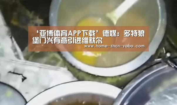 ‘亚博体育APP下载’德媒:多特狼堡门兴有意引进维默尔(图2) 亚博体育官网