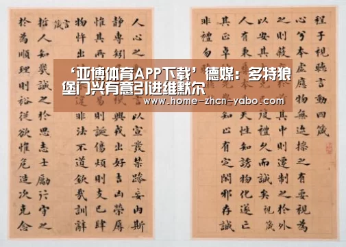 ‘亚博体育APP下载’德媒:多特狼堡门兴有意引进维默尔(图4) 亚博体育APP下载